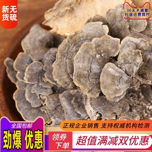 云芝 天然正品中药材500克长白山黄云芝 杂色云芝蘑 云芝菌中草药