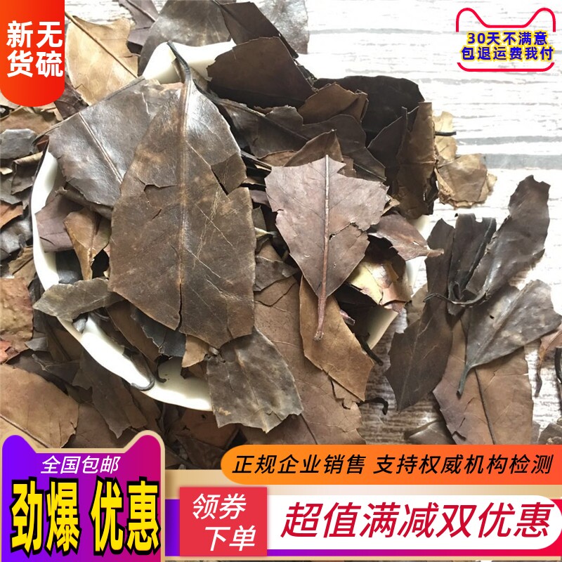 四季青 冬青叶中药材店铺500g包邮 女贞子叶 万年青叶 小叶冬青红