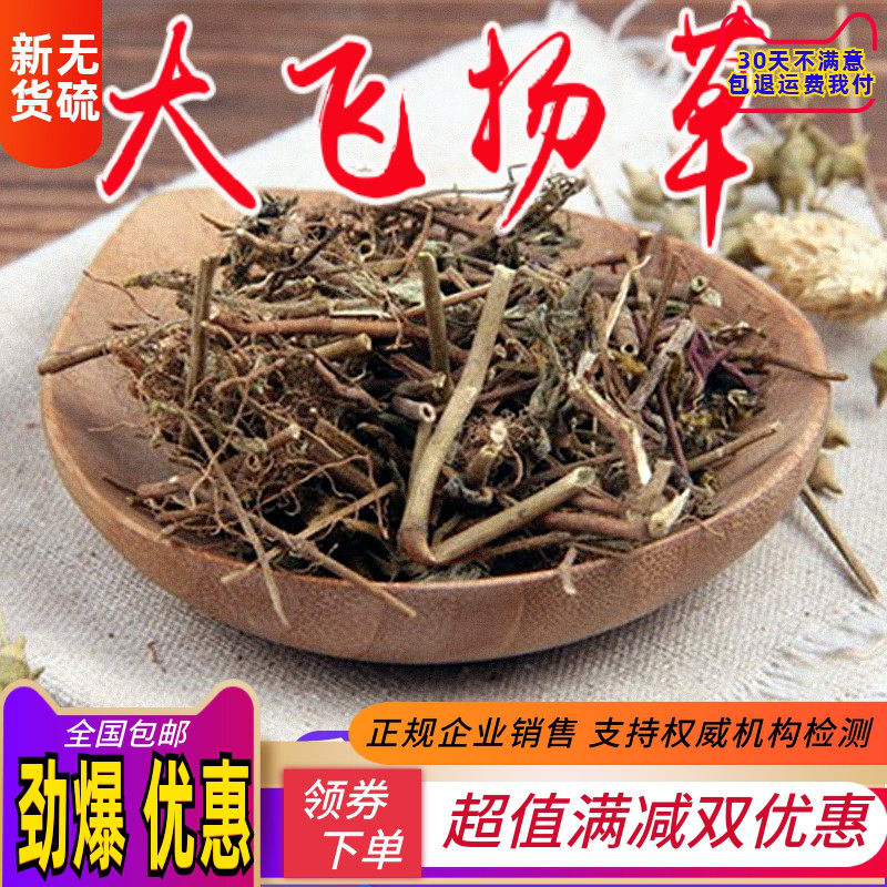 飞扬草 中药材大飞扬草野大乳汁草 奶子草 节节花 500克包邮