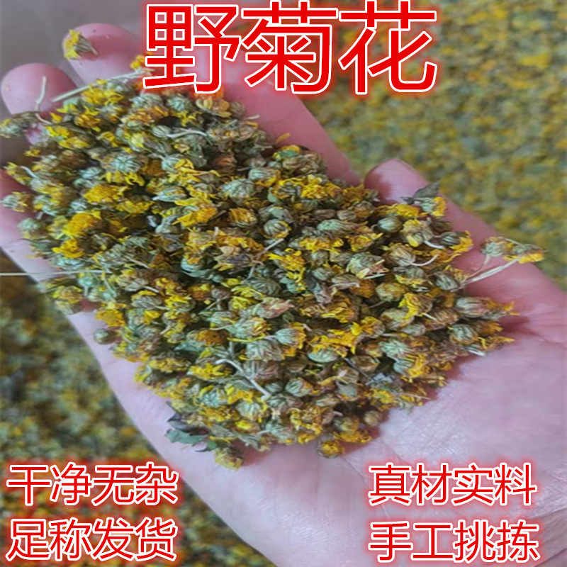 野菊花野生散装500g