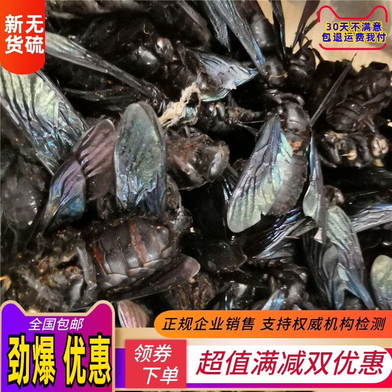 竹蜂 广西农家正品中药材100g包邮大盐乌竹蜂蜜蜂竹筛蜂 咸竹蜂虫