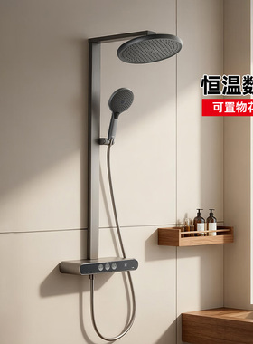 TOTO恒温淋浴花洒TBW12480/10420智能数显枪灰色置物台MY5(05-E)