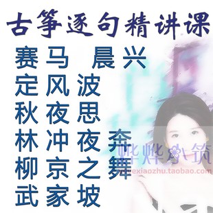 古筝逐句精讲林冲夜奔秋夜思柳京之舞赛马定风波晨兴武家坡陪练课