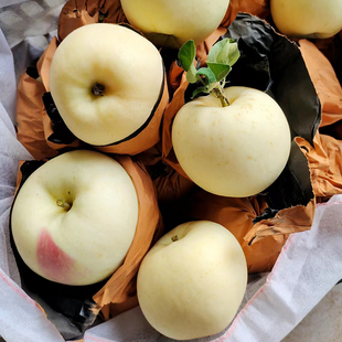 富士苹果新鲜奶油黄金苹果白苹果黄苹果农家自产现摘现发黄金果