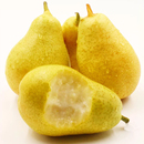 太婆梨软梨新鲜5斤现摘孕妇线梨香蕉梨大头梨青啤梨大头线梨巴梨