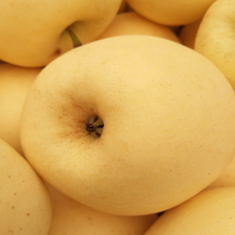 黄元帅苹果黄香蕉新鲜丑水果粉面果刮泥果老品种顺丰包邮黄金帅,水产肉类/新鲜蔬果/熟食,苹果,淘宝优惠券,粉丝福利购,淘宝优惠卷