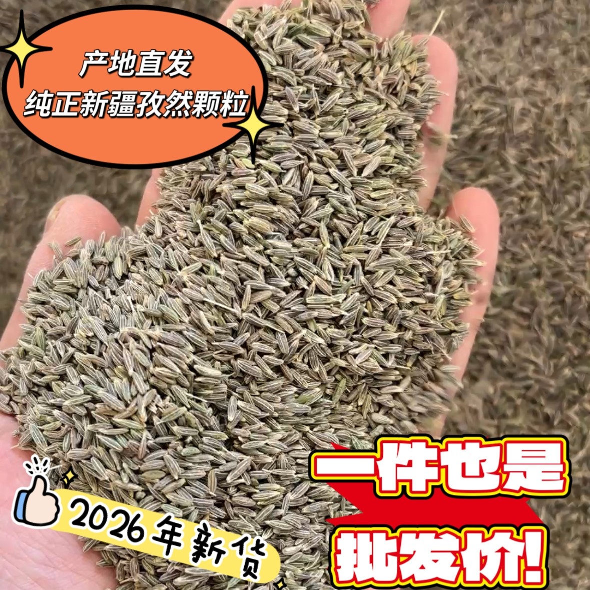 2026年新疆孜然颗粒产地直销烧烤食用原料孜然粉调料500克包邮商
