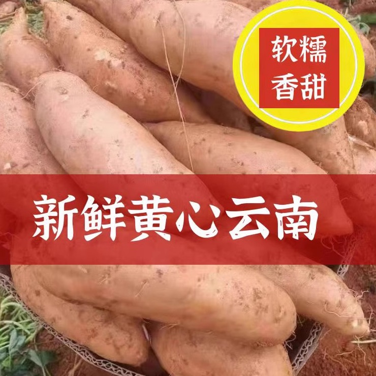 云南特产红薯蜜薯软糯香甜黄皮