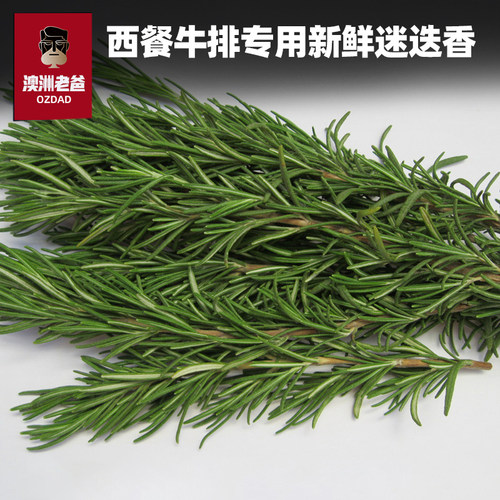 煎牛排牛排迷迭香香料