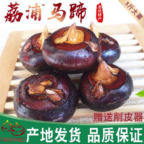 广西特产马蹄新鲜荸荠5斤特大果