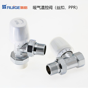 铜阀散热器6分DN15 瑞格PPR温控阀 暖气片专用阀门 直式 角式