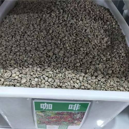 咖啡种子咖啡树种子饮品咖啡豆植物种子花草种籽草籽
