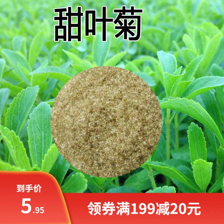 甜叶菊种子甜菊香草 甜菊叶花草茶 阳台花卉四季播种蔬菜种籽食用