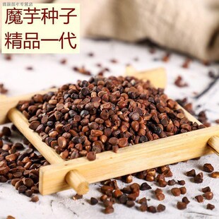 正宗魔芋种子云南高产一代白魔芋种子黄黑魔芋花魔芋种籽四季种植