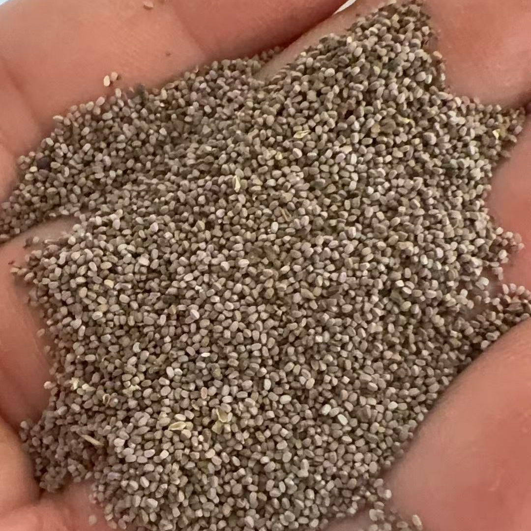 血见愁种子斑地锦草斑地锦血筋草家庭园艺种子