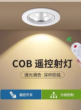 智能遥控调光调色led筒灯嵌入式无极调光客厅卧室三色变光天花灯