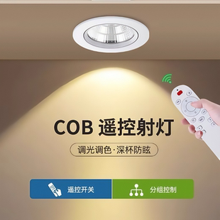 智能遥控调光调色led筒灯嵌入式无极调光客厅卧室三色变光天花灯