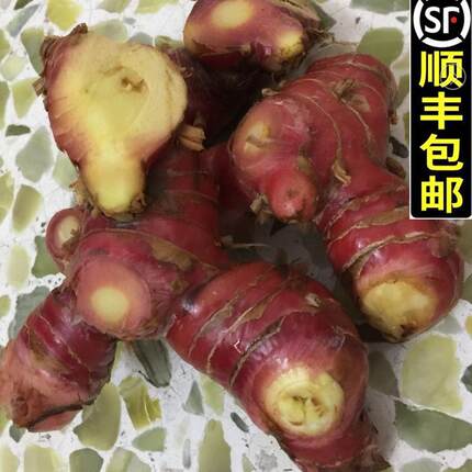 南姜新鲜 顺丰包邮 潮汕南姜  食用 蓝姜 潮州生姜姜野生山姜头