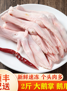2斤大鹅掌鹅爪子 农家散养大白鹅鹅脚鹅肉鹅四件老鹅冷冻老鹅翅