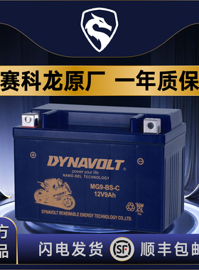 宗申赛科龙RE3 RX3S RX1 RX4 RZ3S RA2 RG3  RT3 RC401 RX500电瓶