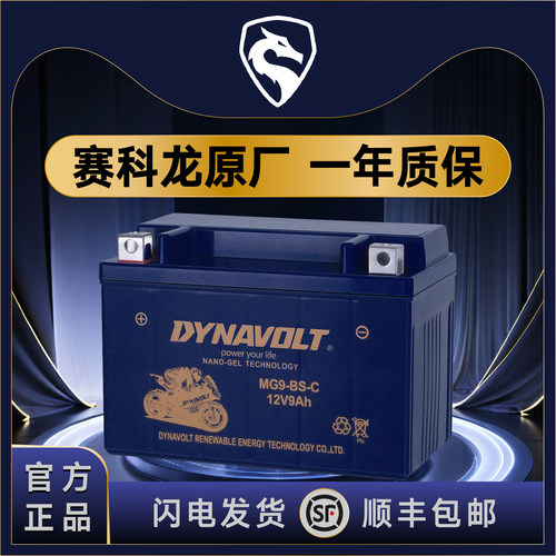 宗申赛科龙RE3 RX3S RX1 RX4 RZ3S RA2 RG3  RT3 RC401 RX500电瓶