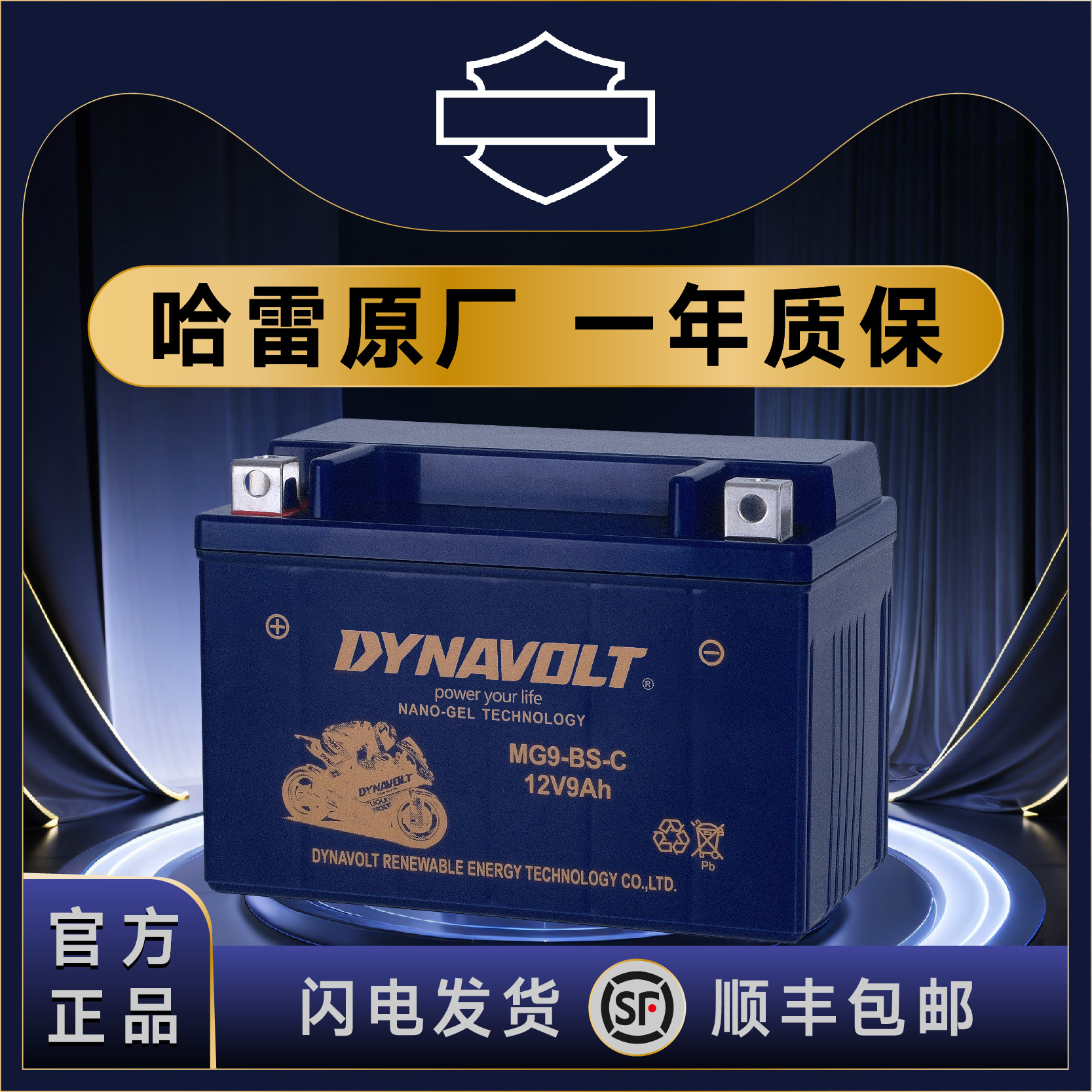 哈雷883 X48/V72硬汉750 1200 肥仔豪雅软尾司令街霸路威滑翔电瓶