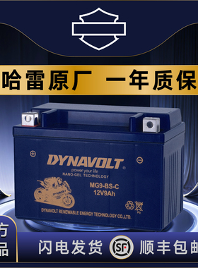 哈雷883 X48/V72硬汉750 1200 肥仔豪雅软尾司令街霸路威滑翔电瓶