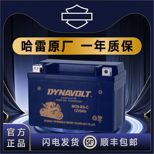 哈雷883 X48/V72硬汉750 1200 肥仔豪雅软尾司令街霸路威滑翔电瓶