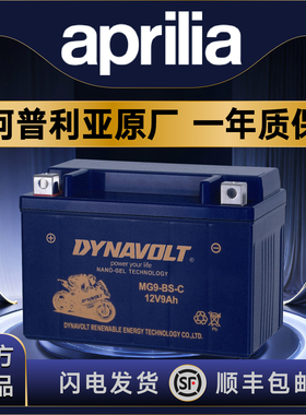 阿普利亚SRMAX250 300 SR300 SR250 GPR125比亚乔X7原厂电瓶