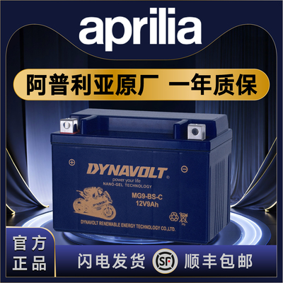 阿普利亚SRMAX250 300 SR300 SR250 GPR125比亚乔X7原厂电瓶