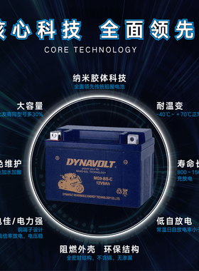 猛狮 升仕ZT350T-D ZT310T-M  ZT310-X1-X2-T1-T2-R1摩托车电瓶