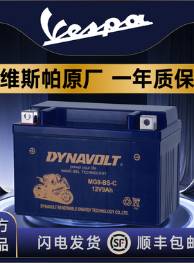维斯帕VESPA GTS300 GTV300 GTS250 LXV150比亚乔埋地雷春天电瓶