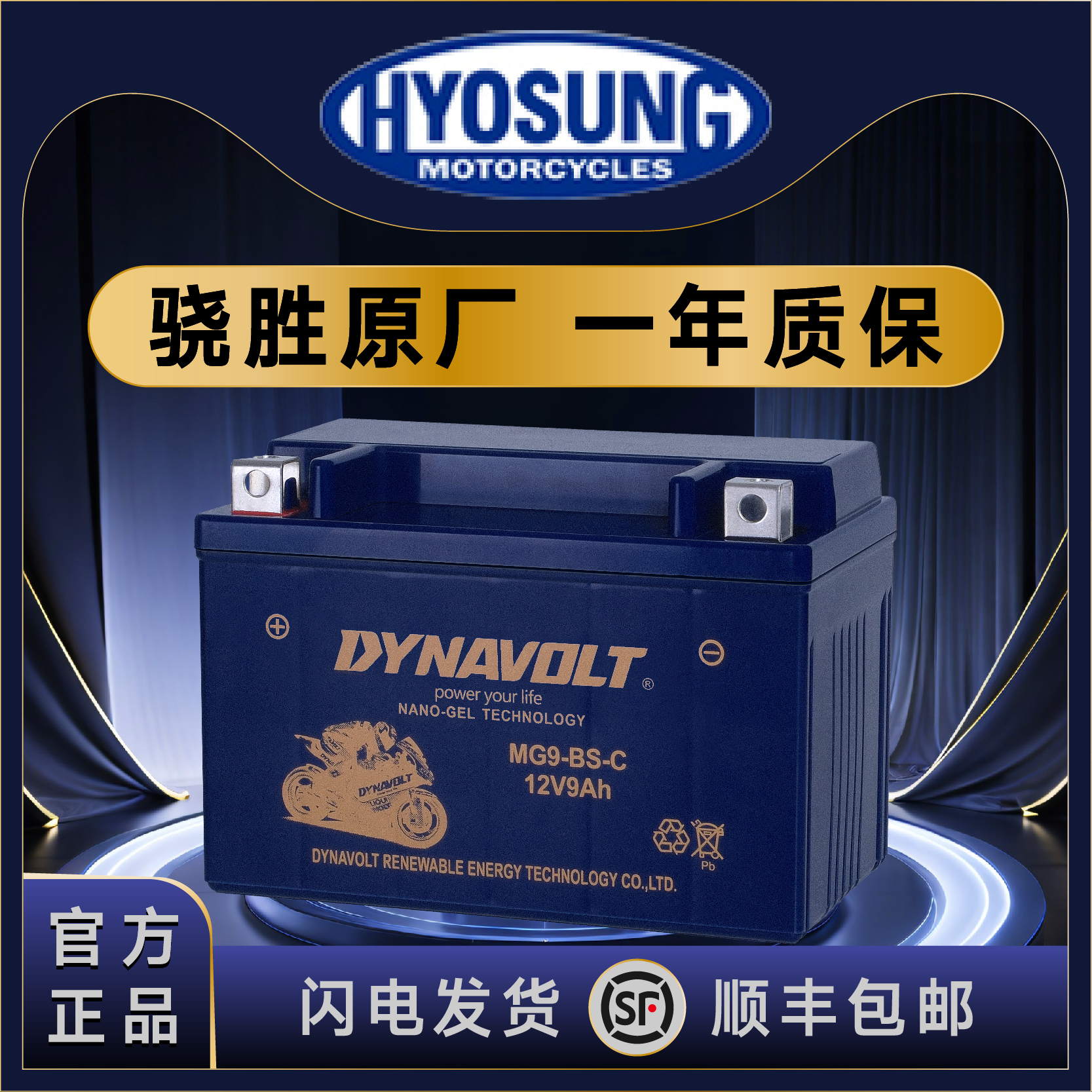 轻骑大韩骁胜gv300gv250 gv650大脚怪坦影250巡风GT650R摩托电瓶