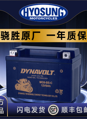 轻骑大韩骁胜gv300gv250 gv650大脚怪坦影250巡风GT650R摩托电瓶