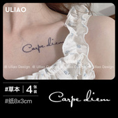 4个 活在当下及时行乐 英文草本纹身贴半永久防水洗不掉持久