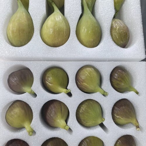 格 芭 双拼 共2斤