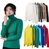 Women Pile Pullovers Sweater 2025 Color Turtleneck Solid Nec