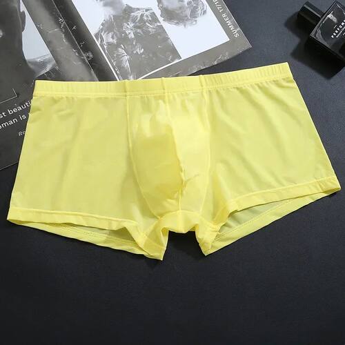 Men Boxers Ice Silk Thin Breathable Panties Bulge Pouch Boxe