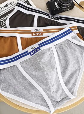 ANDERSON TALISCA New 3pcs Sexy Cotton Underwear Men Brief Pa