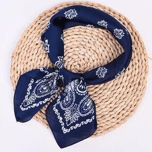New Paisley Bicolor Small Cashew Fruit Satin Silk 70 Scarf S
