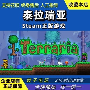 STEAM PC正版游戏 Terraria 泰拉瑞亚 多人联机 全新号 白号 现货