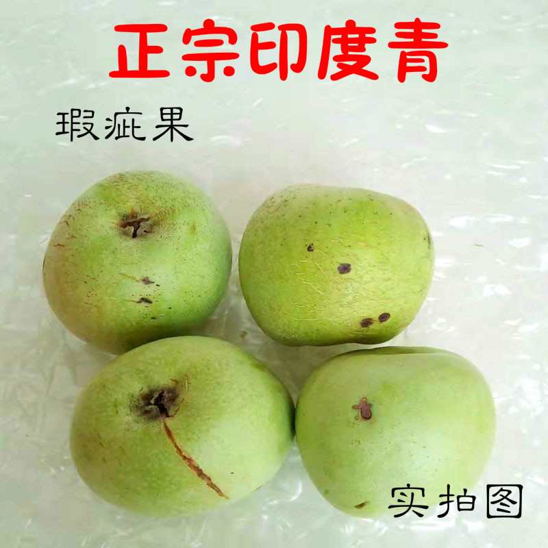 正宗烟台新鲜现摘印度青