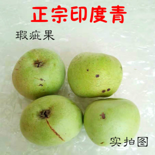 包邮 正宗烟台印度青 瑕疵果实惠 纯甜无酸味 新鲜现摘青苹果