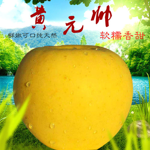 甜面新鲜宝宝辅食黄金帅5斤包邮