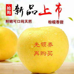 帅 烟台新鲜黄元 黄蕉 粉面苹果 食用农产品 10斤 老人宝宝辅食 包邮