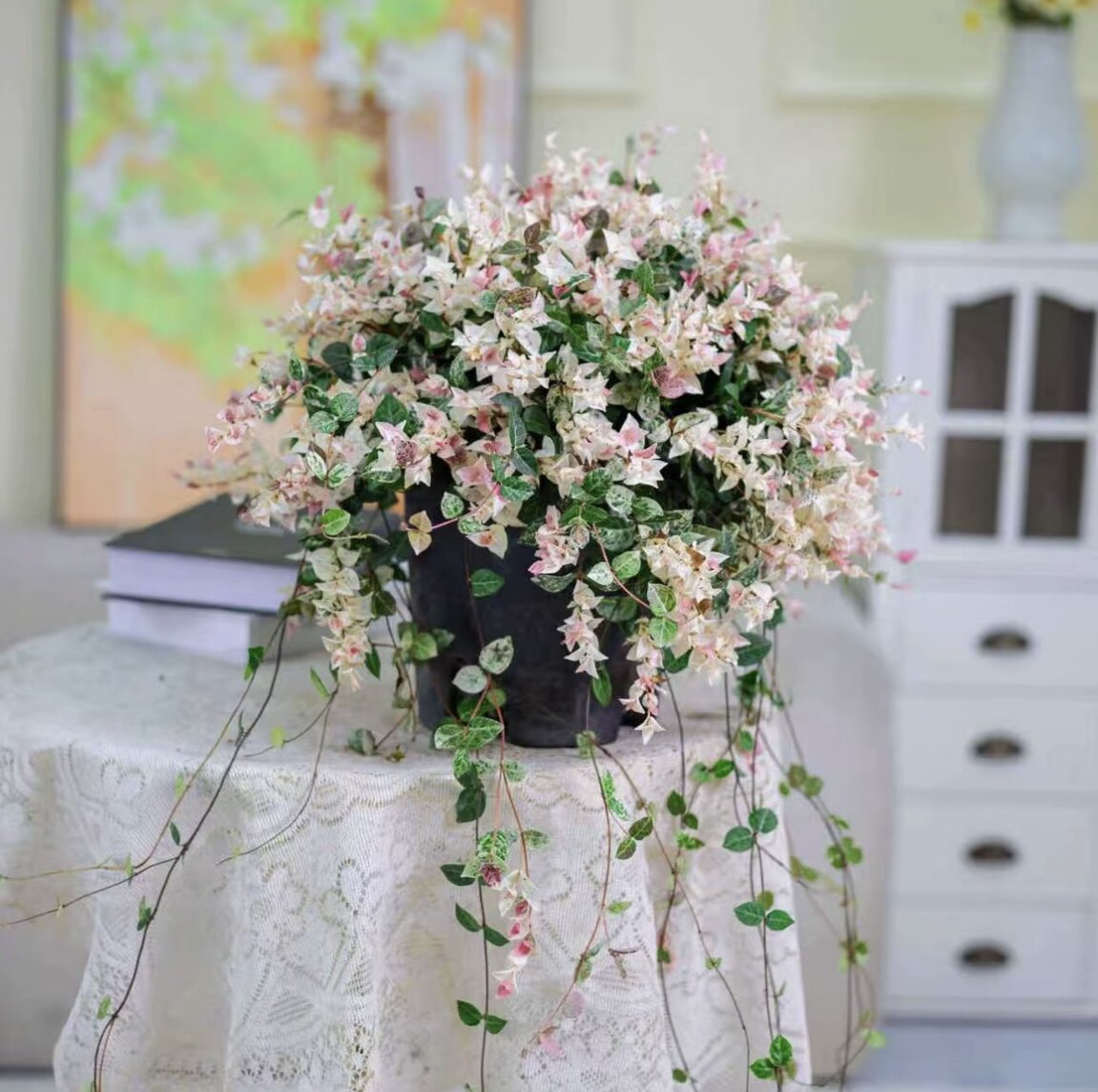 花叶络石大盆四季好养适合新手小白观叶阳台庭院吊兰爬藤绿植盆载