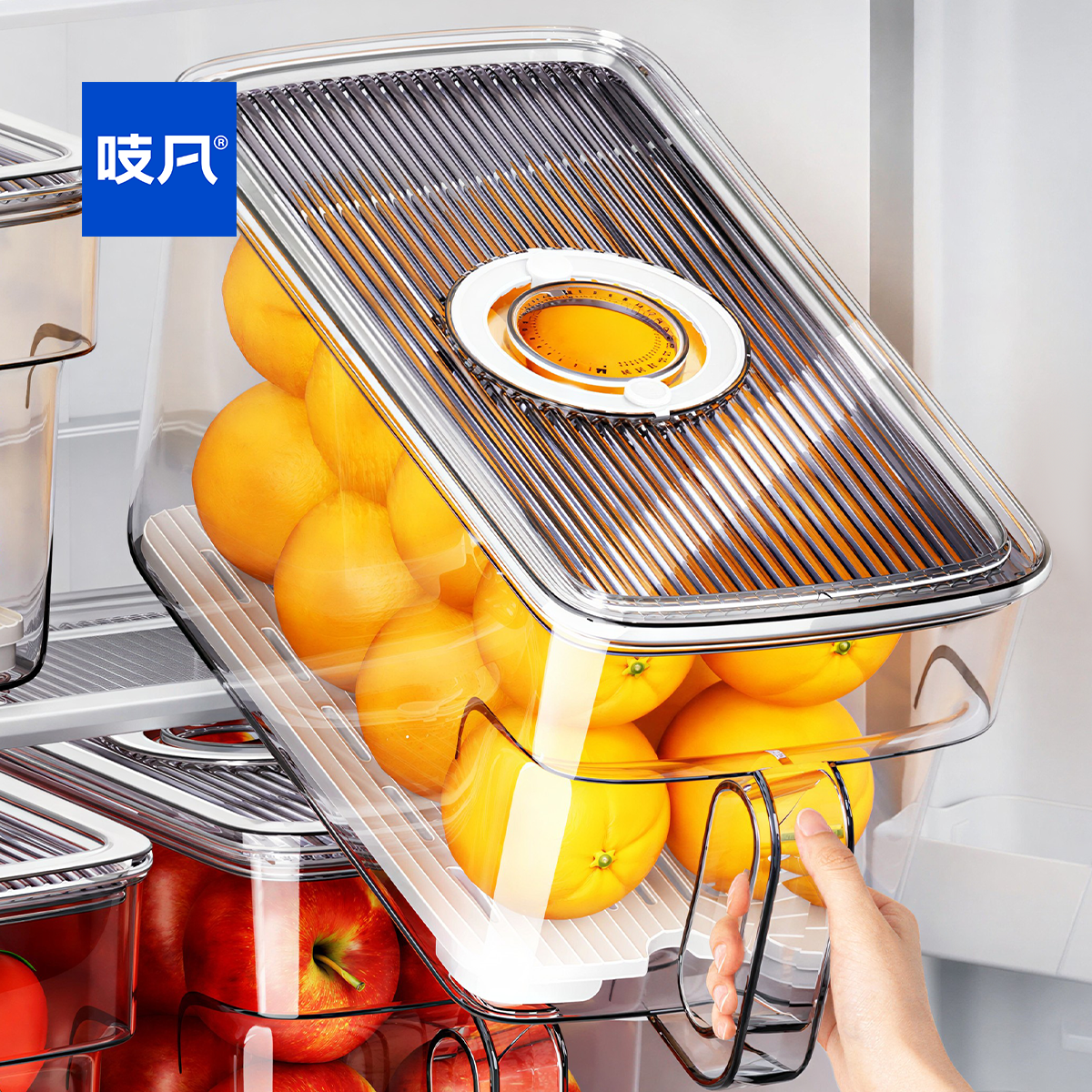 日本冰箱收纳盒整理盒保鲜盒食品级专用蔬菜鸡蛋冷冻神器储物盒子