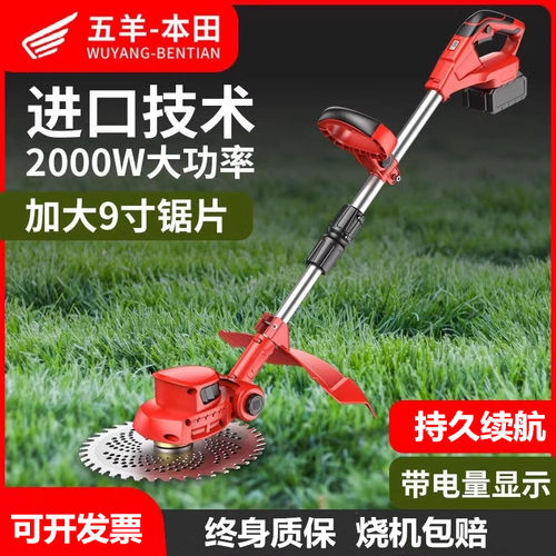 农用无刷小型电动大功率草坪机