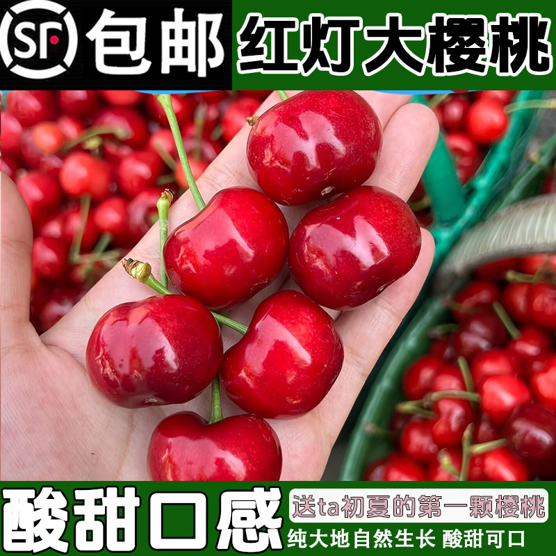 自然熟山东红灯大樱桃3斤烟台当季新鲜车厘子红樱桃孕妇国产水果