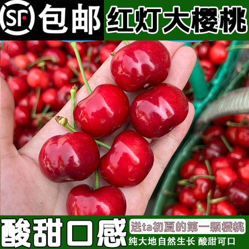 自然熟山东红灯大樱桃3斤烟台当季新鲜车厘子红樱桃孕妇国产水果